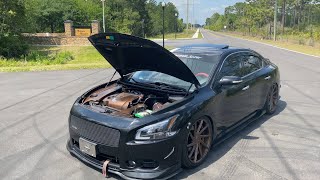 2013 Nissan Maxima Walkthrough Start Up Rev amp Test Drive Modded with New Transmission [upl. by Hacissej]