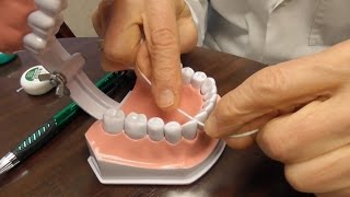 How to Floss The Right Way [upl. by Brewer]