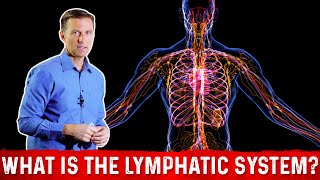 What is the Lymphatic System And How it Functions – Dr Berg [upl. by Afesoj]