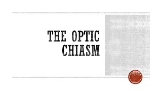 Optic Chiasm [upl. by Christi]