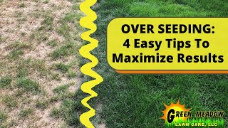 Overseeding  Preparing Your Lawn for Seeding [upl. by Tollmann]