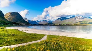 Uplifting Music  light positive happy music Gullrosøya  1 hour [upl. by Filide222]