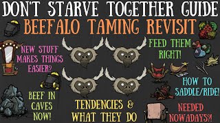 Dont Starve Together Guide Beefalo Taming Revisit  Easier Now Worth It [upl. by Brit]