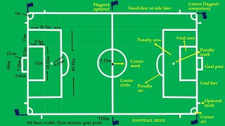 Field in Sports Different Types and Roles [upl. by Bobine]