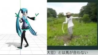 Hatsune Miku Ievan Polkka Dance Comparison [upl. by Sou978]