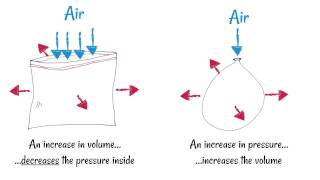 Inhaling and Exhaling  How breathing works [upl. by Kal]