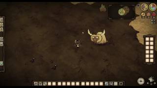 How to kill beefalo [upl. by Anairb]