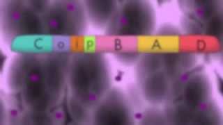 The Arabinose Operon [upl. by Lenej]