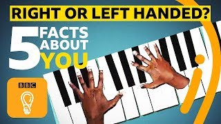 Right or lefthanded 5 facts about you  BBC Ideas [upl. by Ikila882]