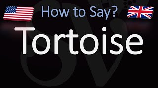 How to Pronounce Tortoise CORRECTLY [upl. by Arrekahs]