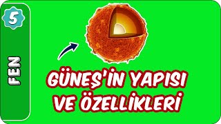 Güneşin Yapısı ve Özellikleri  5Sınıf Fen evokul Kampı [upl. by Dnivra]