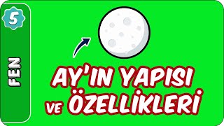 Ayın Yapısı ve Özellikleri  5 Sınıf Fen evokul Kampı [upl. by Nickelsen551]