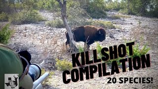 KILLSHOT COMPILATION  Texas Whitetail Deer and Exotic Hunting [upl. by Liponis]