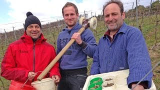 Die Winzer das Weingut und die vier Jahreszeiten  Die WetterReportage [upl. by Nyvlem]