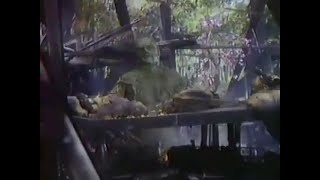 Swamp Thing 1981  TV Spot Now Showing [upl. by Saimon]