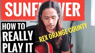 REX ORANGE COUNTY  Sunflower Guitar Chords Tutorial  how to play Sunflower by Rex Orange County [upl. by Amory205]