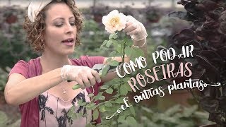 Manual rápido de como podar roseiras e outras plantas [upl. by Ahse]