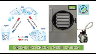 Freeze drying or Lyophilization in depth [upl. by Ayatnohs]