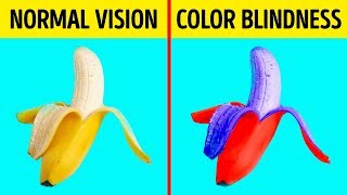 How Color Blind People See the World [upl. by Nehgaem693]