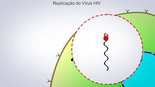 A Replicação do HIV [upl. by Drexler]