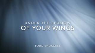 Under the Shadow of Your Wings  Todd Shockley Worship [upl. by Eityak]