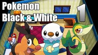 Pokémon Black amp White  Episode 1  A New Beginning [upl. by Nannerb388]