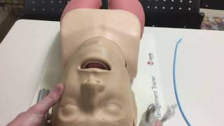 How to Intubate Manual Laryngoscopy [upl. by Arol438]