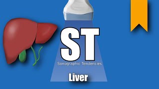 Liver Ultrasound Protocol [upl. by Ahseenak957]