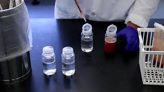 Soleris® Training Part 2  Dilution and Inoculation [upl. by Konikow471]