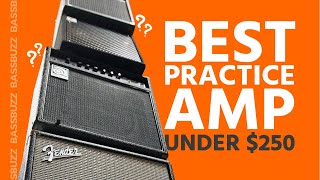 Best Beginner Bass Amp Group Review [upl. by Notsag]