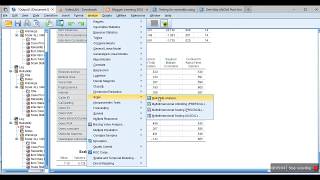 Reliability analysis using Cronbachs Alpha using SPSS [upl. by Satterlee]