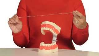 How to Floss Your Teeth [upl. by Aerbma]