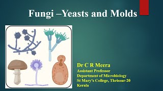 Fungi  Yeast and Molds  Dr C R Meera [upl. by Garwood]