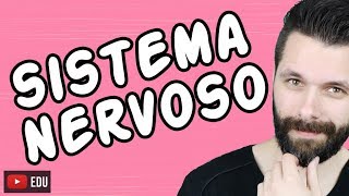 SISTEMA NERVOSO  FISIOLOGIA  Aula  Biologia com Samuel Cunha [upl. by Ahsinrats282]