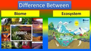 Difference Between Biome and Ecosystem [upl. by Urson]