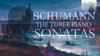 Schumann The Three Piano Sonatas [upl. by Marianna]