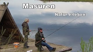 Masuren  Natur erleben  Reise Tier und Naturfilm [upl. by Ahsieyt]