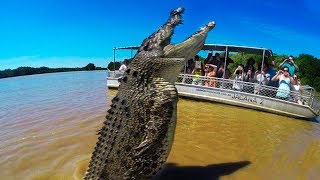 BIGGEST Crocodiles In The World [upl. by Earissed]