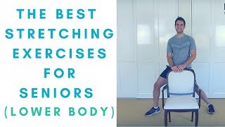 Top Lower Body Stretches for Seniors Easy amp Effective [upl. by Gnahc]