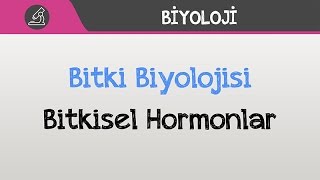 Bitki Biyolojisi  Bitkisel Hormonlar [upl. by Stalk897]