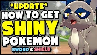 NEW INFO  How to Get SHINY POKEMON In Sword and Shield [upl. by Trebleda833]