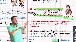 7CTB Vitaminler Konu Anlatımı 9sınıf biyoloji Tyt Biyoloji Konu anlatımı Yks 2023 [upl. by Calv]