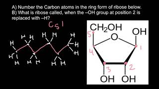 How to number carbon atoms [upl. by Nadruoj]