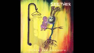 Seether  Save Today [upl. by Flagler]