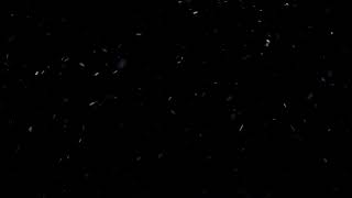 Huge Dust Particles Overlay  Free HD Vfx Footage [upl. by Annerol]