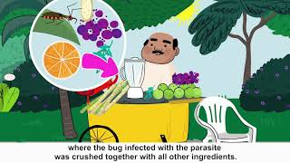 How Chagas disease is transmitted [upl. by Goody]