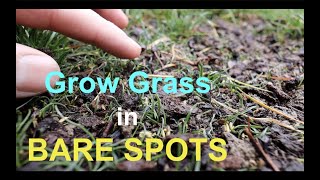 How to seed BARE SPOTS in your LAWN [upl. by Lillie567]