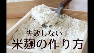 米麹の作り方ここさえ押さえれば失敗しない麹づくりのコツ教えます初心者の方必見 米麹づくりの成功ポイントThe best way to make KojiHome made Koji recipe [upl. by Harewood790]