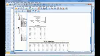 Calculating and Interpreting Cronbachs Alpha Using SPSS [upl. by Jarid]