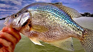 Fishing for Crappie  Trolling with Minnows and Jigs [upl. by Starlin314]